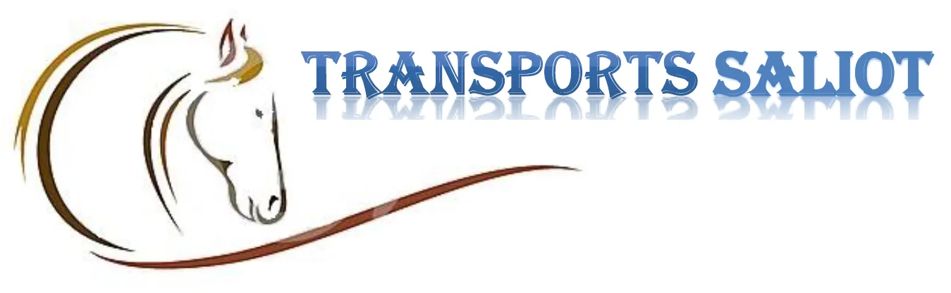 TRANSPORTS SALIOT logo