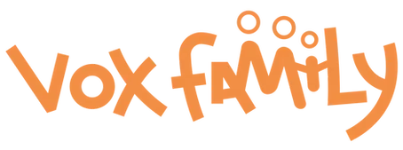 MS CONSEILS logo