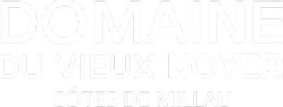 DOMAINE DU VIEUX NOYER logo