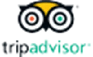 MAS SERAPH1 logo