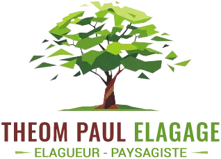 THEOM PAUL logo