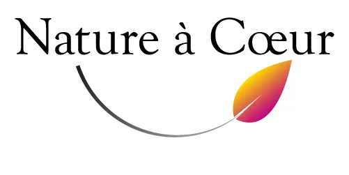 COEUR DE SANTE logo