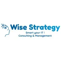 WISE STRATEGY logo