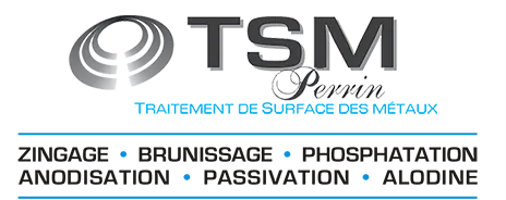 TSM PERRIN logo