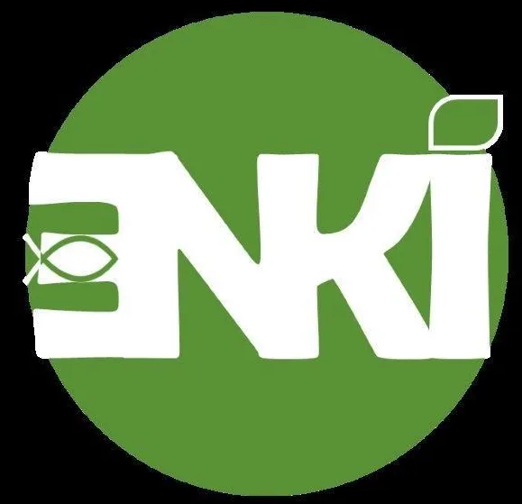 ENKI DIGITALEA logo