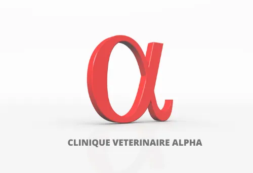 SOCIETE DES DOCTEURS ALEXANDRA ET PIERRE COUTURE logo