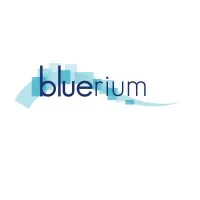 BLUERIUM logo