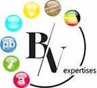 BV EXPERTISES logo