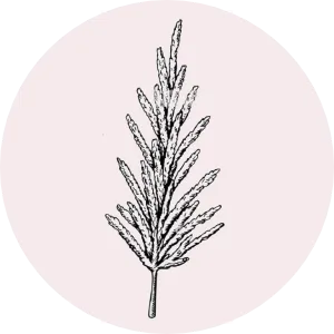 GUTENDEV logo