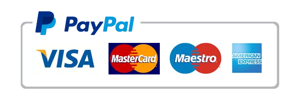BALLIN logo