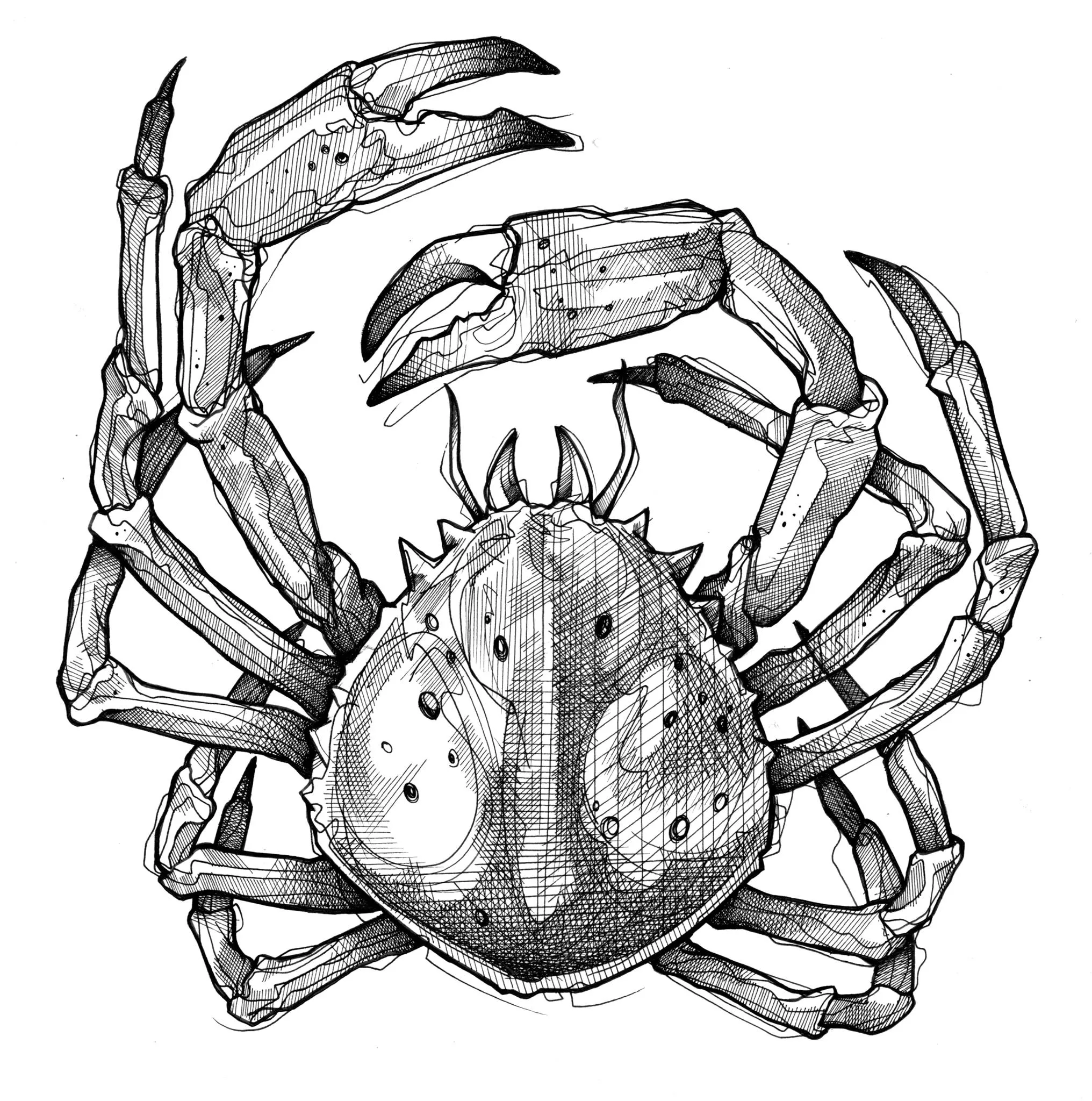CHAMPIN HUGUES logo