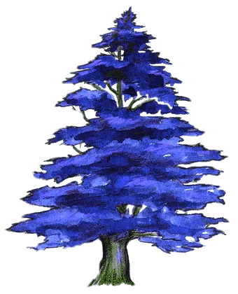 O CEDRE BLEU logo