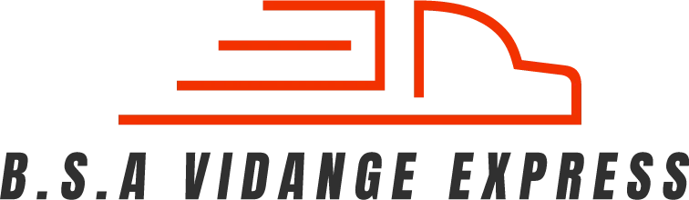 BSA VIDANGE EXPRESS logo