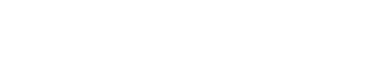 PIECES AUTO NORD logo