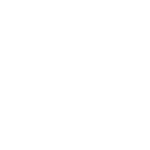 LEVINAUDYS logo