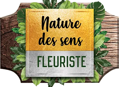 NATURE DES SENS logo