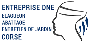 WEISS DYLAN logo