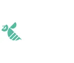 AERONUISIBLE logo