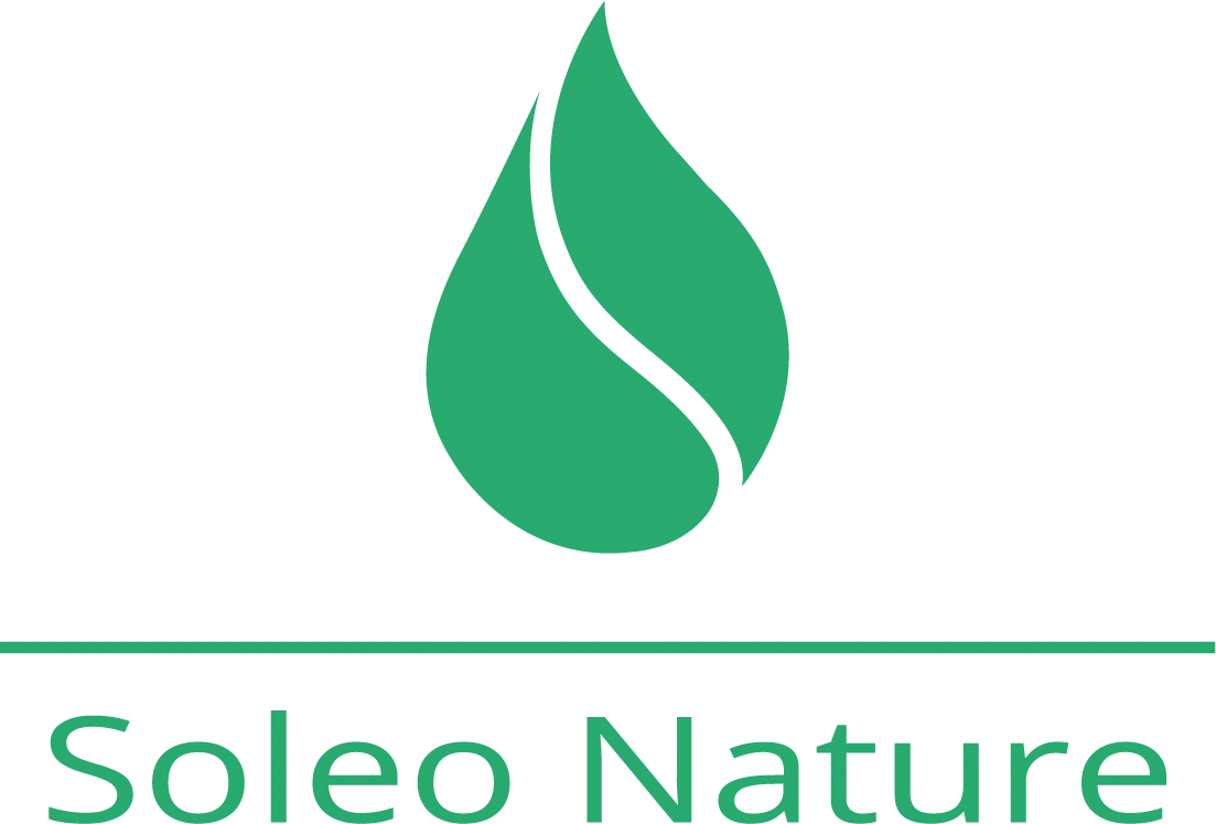 SAENGJAN ONANONG logo