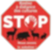 CONCEPT NATURE BIO (CNB) logo