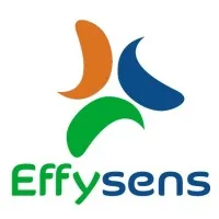 EFFYSENS logo