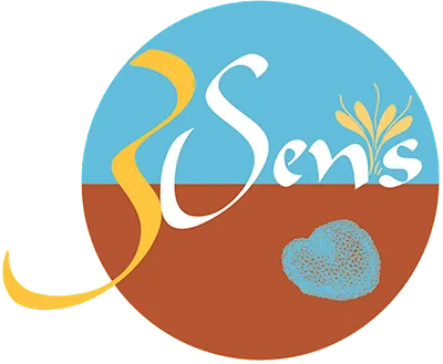 BERRY 3 SENS logo