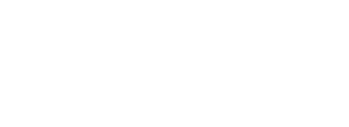 DOMAINE DE VIVALE logo