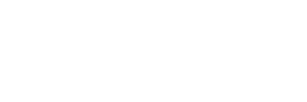 BETOUS SYLVIANE logo
