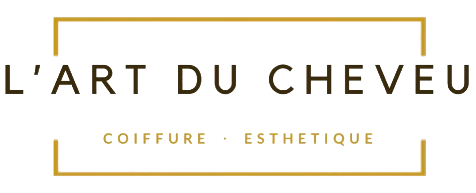 L'ART DU CHEVEU logo