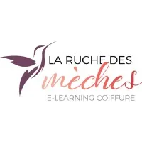 LA RUCHE DES MECHES logo