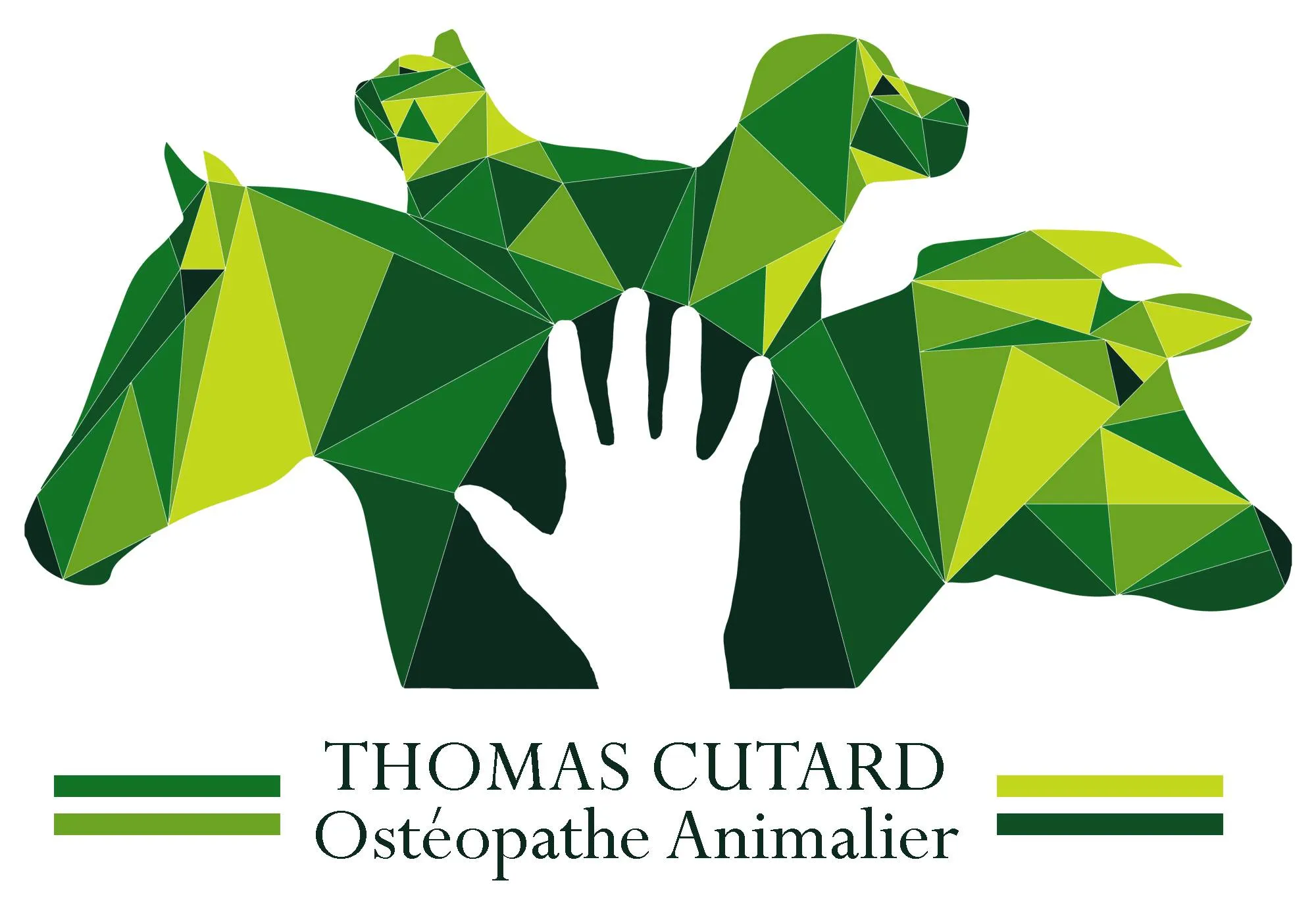 CUTARD THOMAS logo