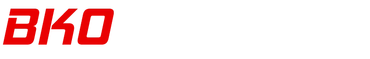 BKO TRANSPORT logo