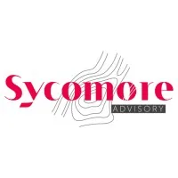 Voici le logo de la marque SV ADVISORY qui représente son identité graphique.