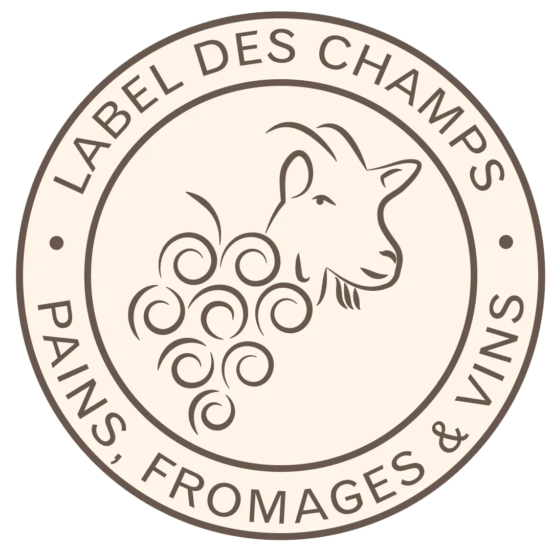 L D C logo