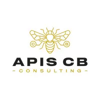 APIS CB CONSULTING logo