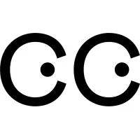 CURIOUS COMPANY logo