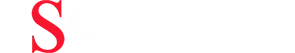 2S SERVICES logo