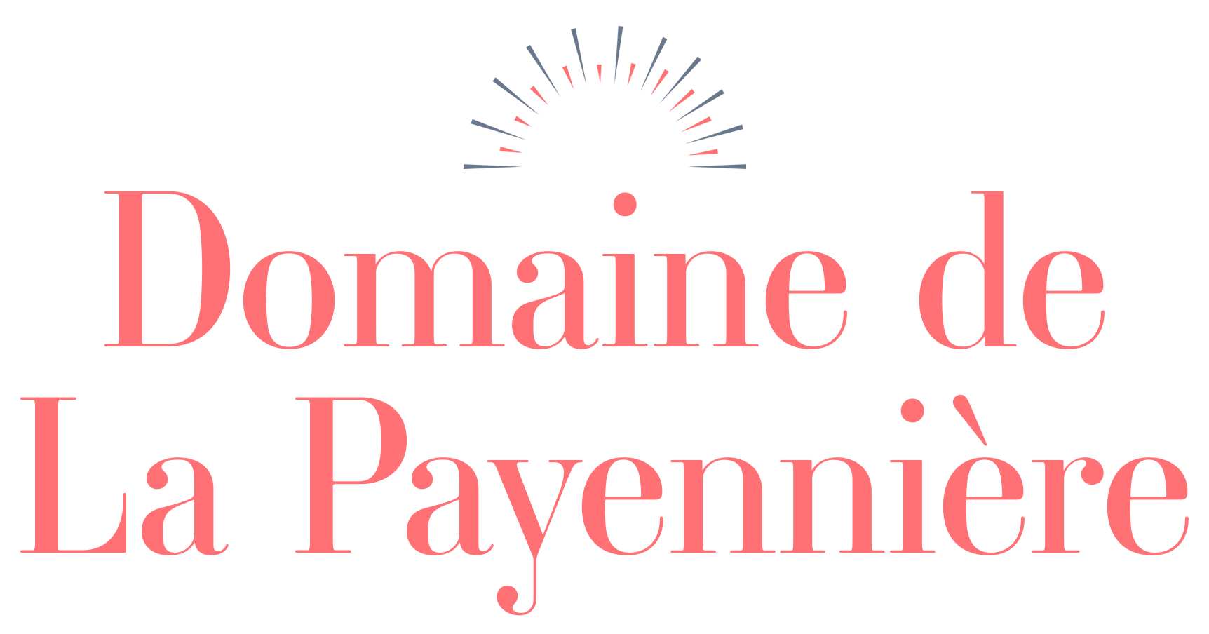 DOMAINE DE LA PAYENNIERE logo