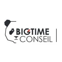 BIG TIME CONSEIL logo