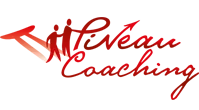 PINEAU BENOIT logo