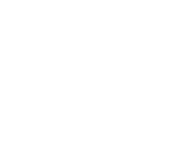 LYON SPORT & COMMUNICATION (LSC) logo