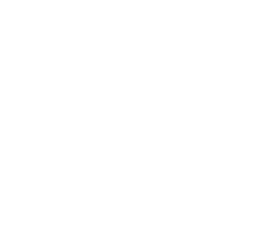 BS IMMO logo