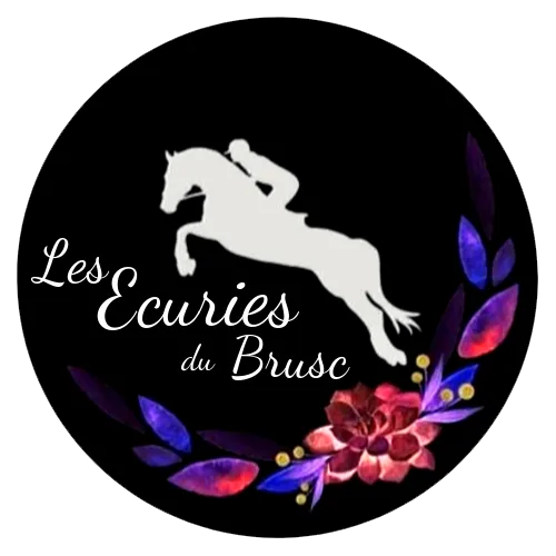 LES ECURIES DU BRUSC logo