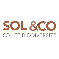 SOL &CO logo