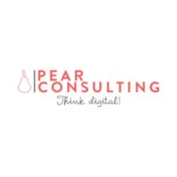DIGITALCONSULT logo