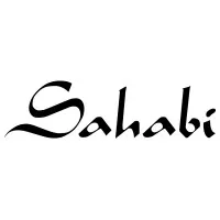 SALMI AMINE logo