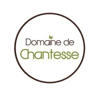 DOMAINE DE CHANTESSE logo