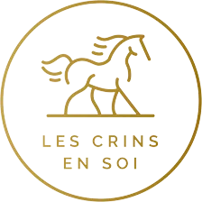 LES CRINS EN SOI logo