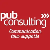PUB CONSULTING logo