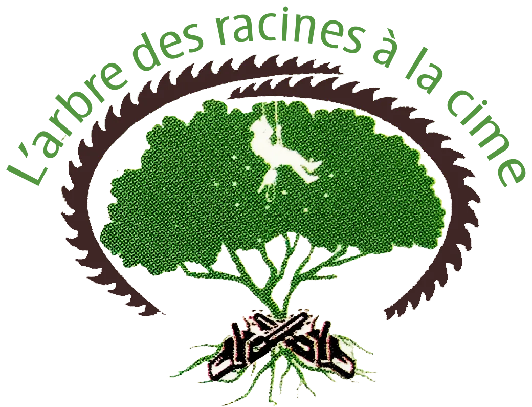 L'ARBRE : DES RACINES A LA CIME logo